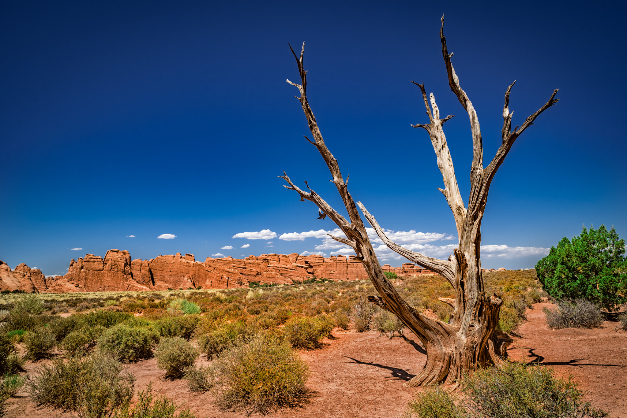 Nikon D750 + Sigma 24-70mm F2.8 EX DG Macro sample photo. Arches np, utah photography