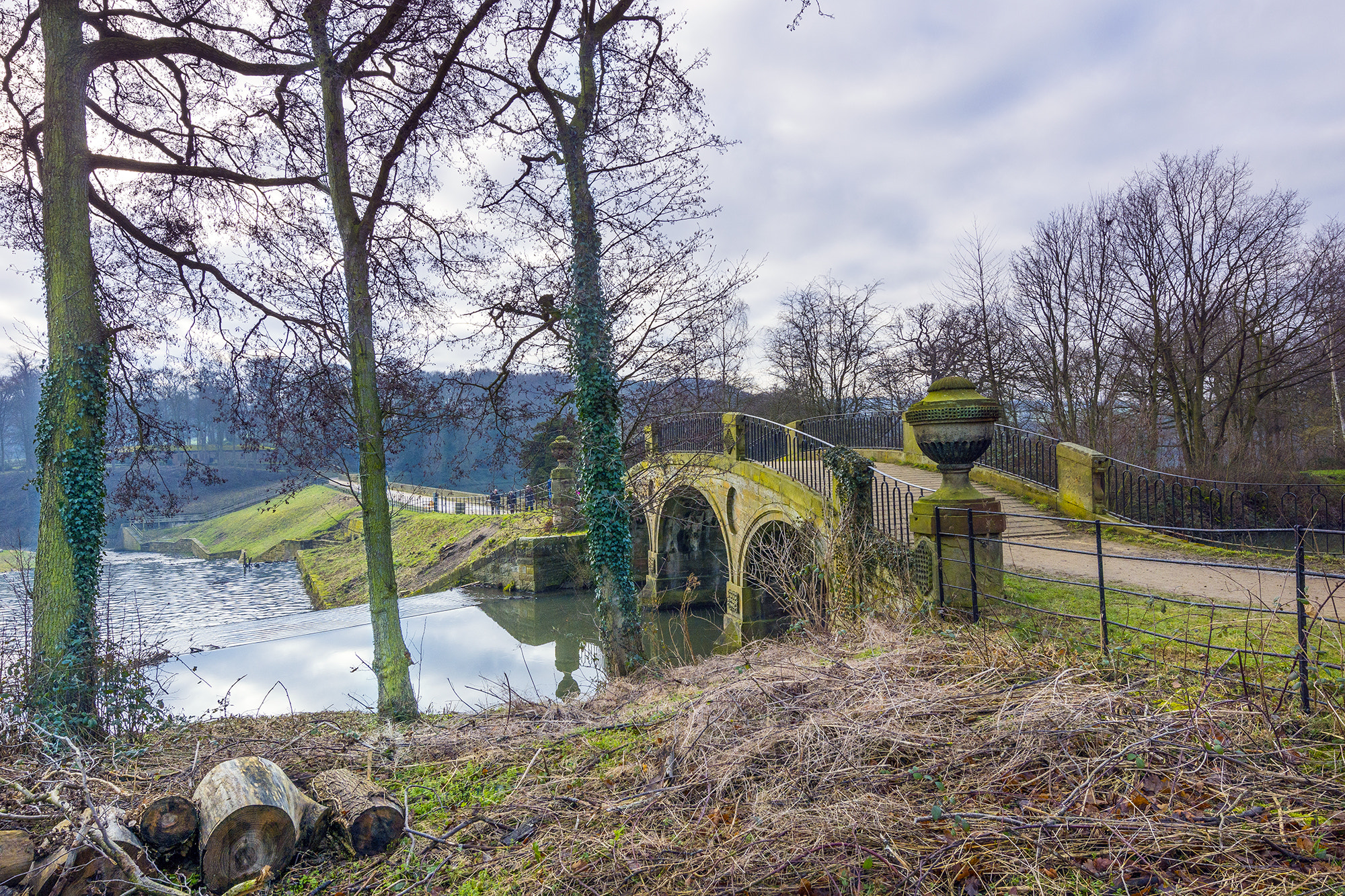 Nikon AF-S Nikkor 14-24mm F2.8G ED sample photo. Ysp bridge photography