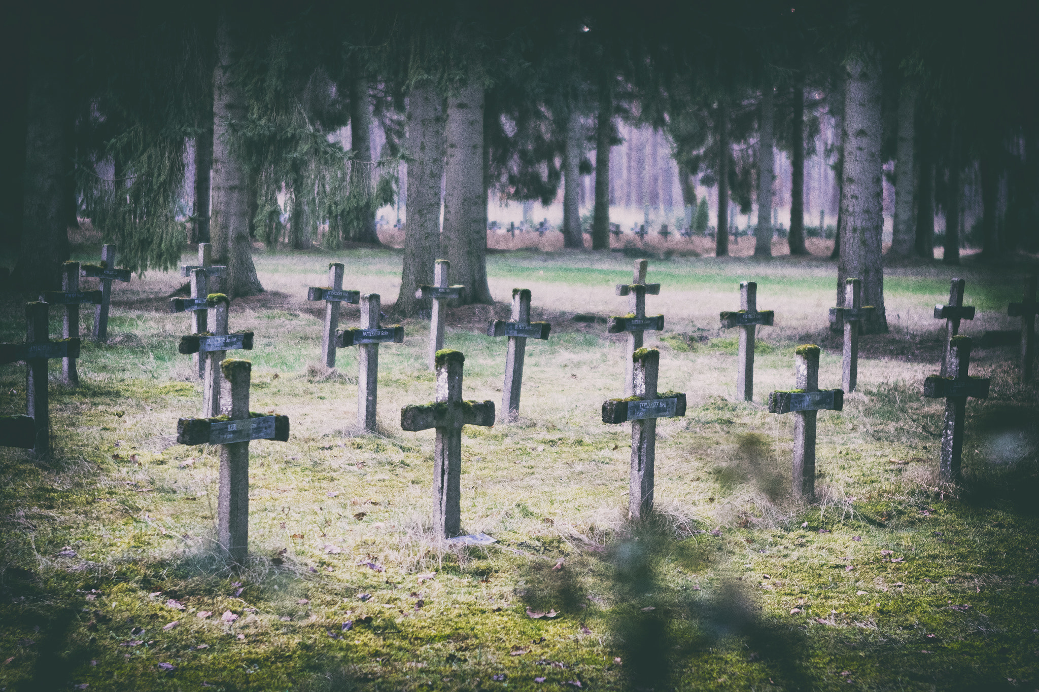 Canon EF 24-70mm F2.8L USM sample photo. Cemetery of the insane photography