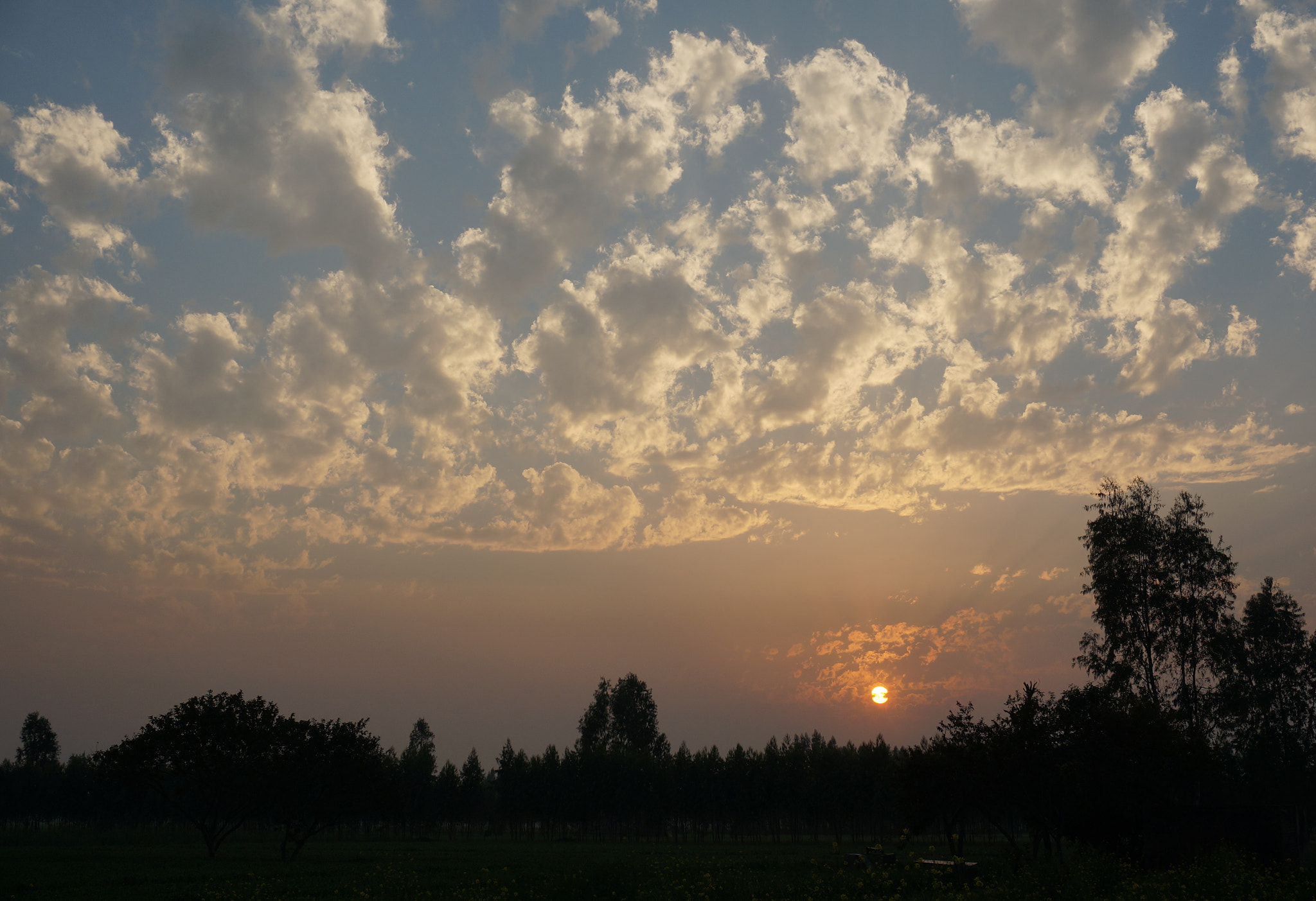 Sony E 16-50mm F3.5-5.6 PZ OSS sample photo. Up above photography