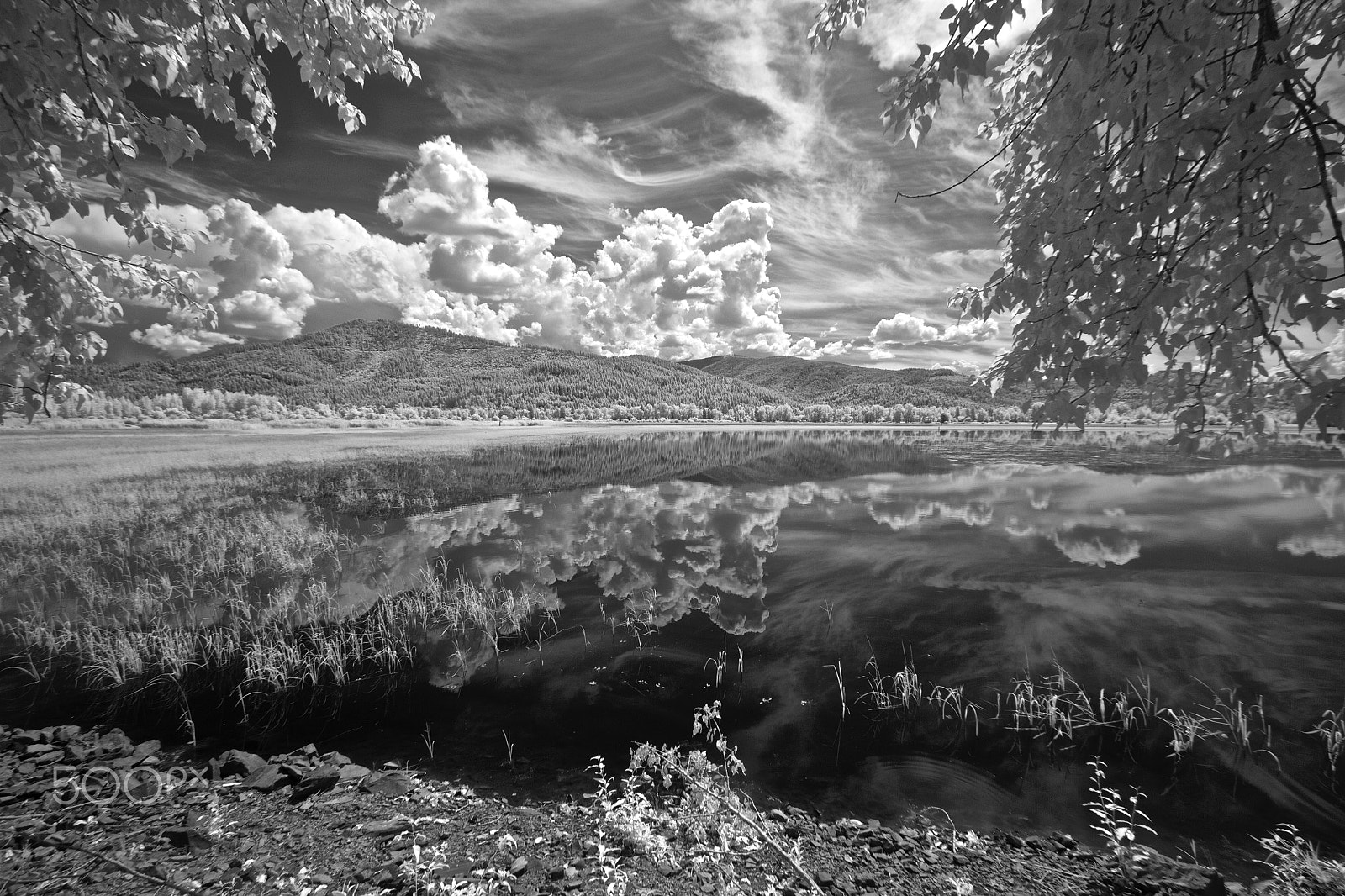 Canon EOS 550D (EOS Rebel T2i / EOS Kiss X4) sample photo. Summer day at the lake in infrared photography