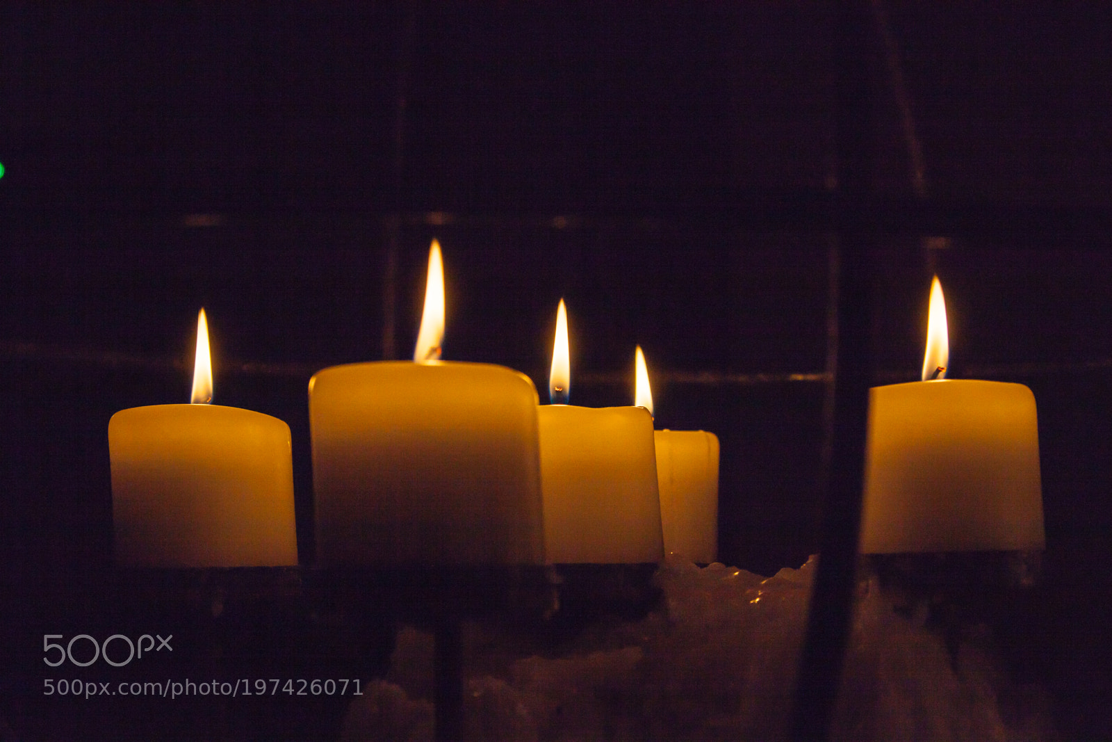 Canon EOS 5D Mark II sample photo. Untitled photography
