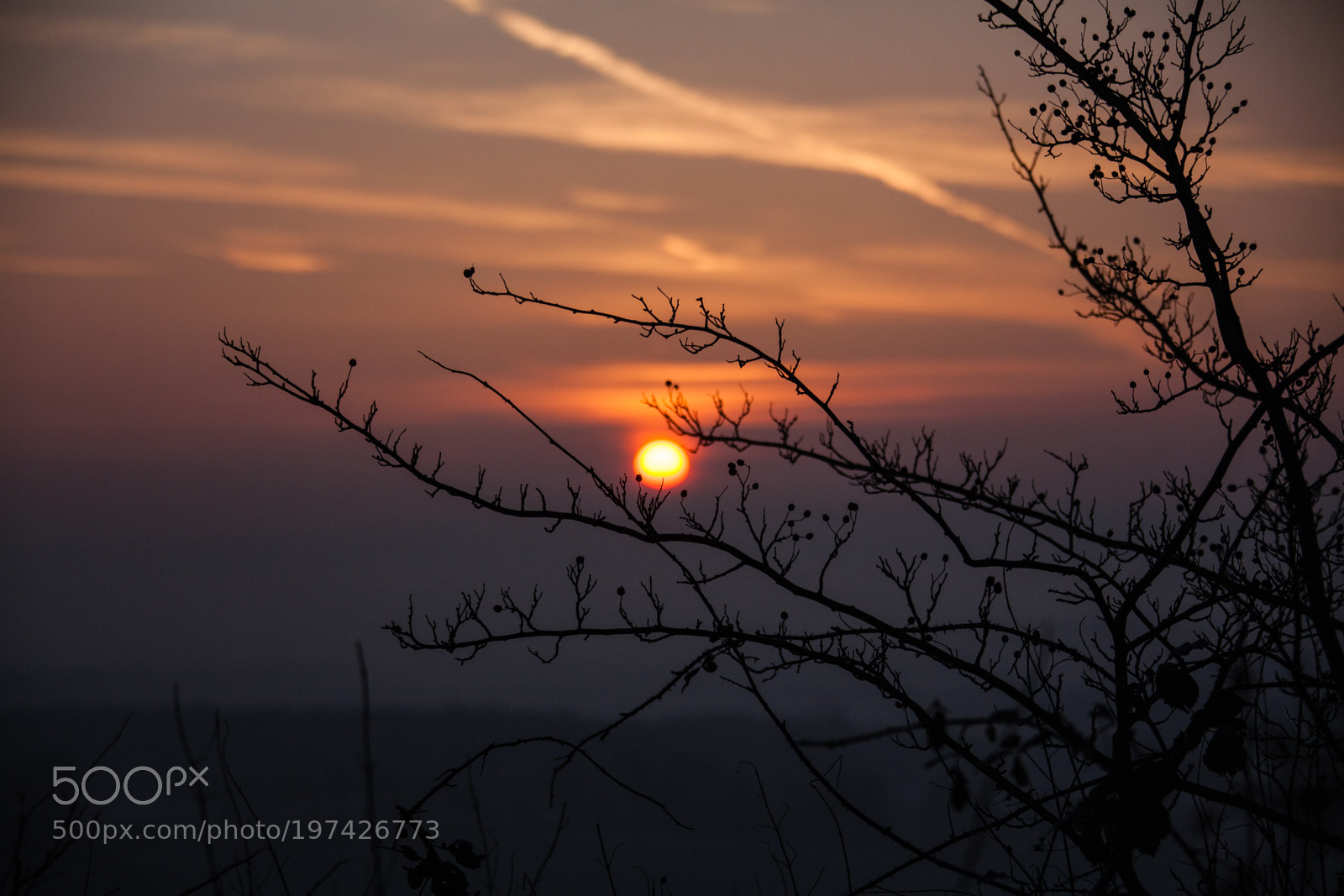 Canon EOS 5D Mark II sample photo. Untitled photography