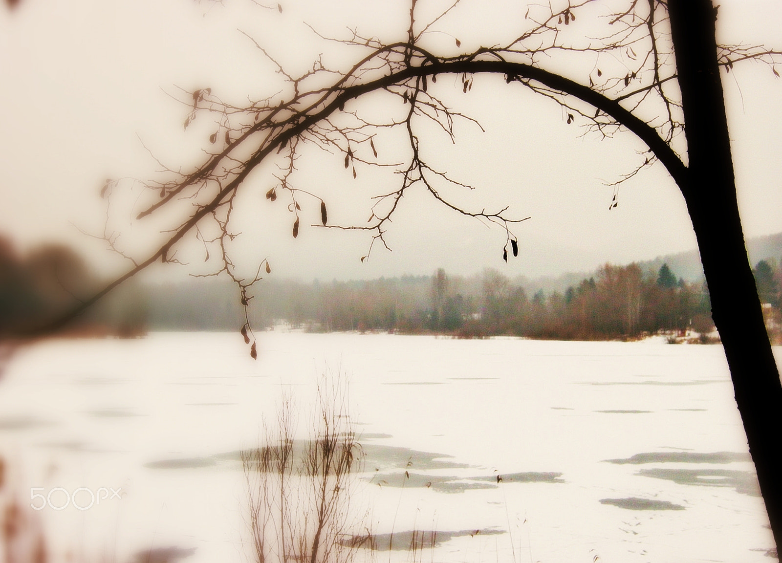 Canon PowerShot A800 sample photo. Winter landscape photography