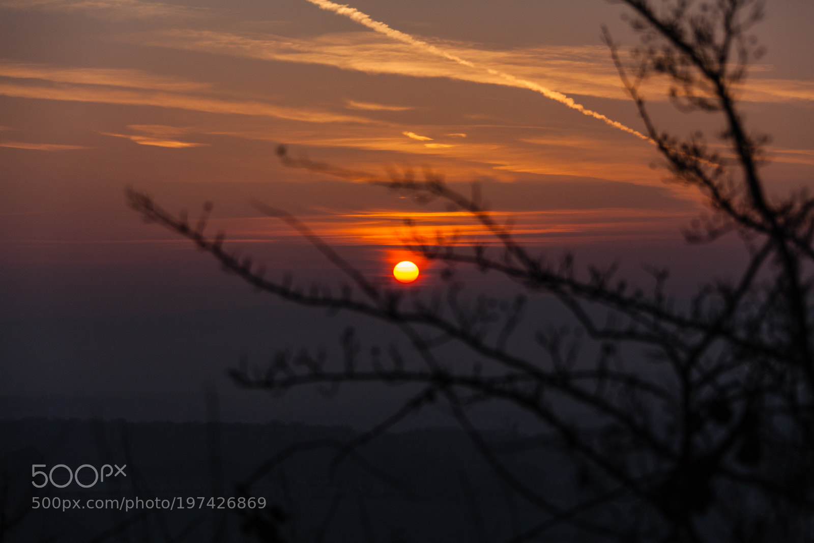 Canon EOS 5D Mark II sample photo. Untitled photography
