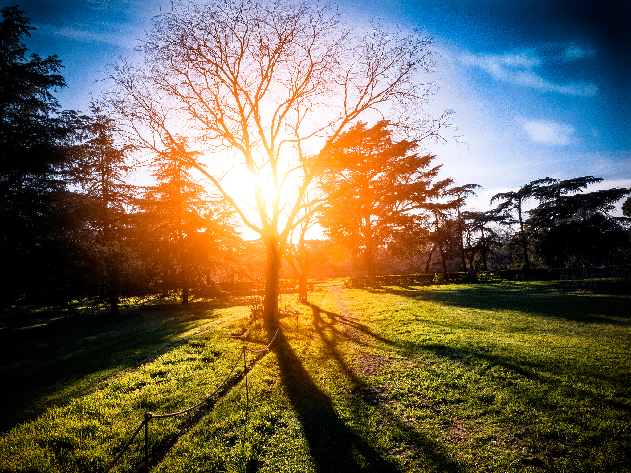 Panasonic Lumix DMC-GH4 sample photo. Atardecer en el parque de torre arias, madrid photography