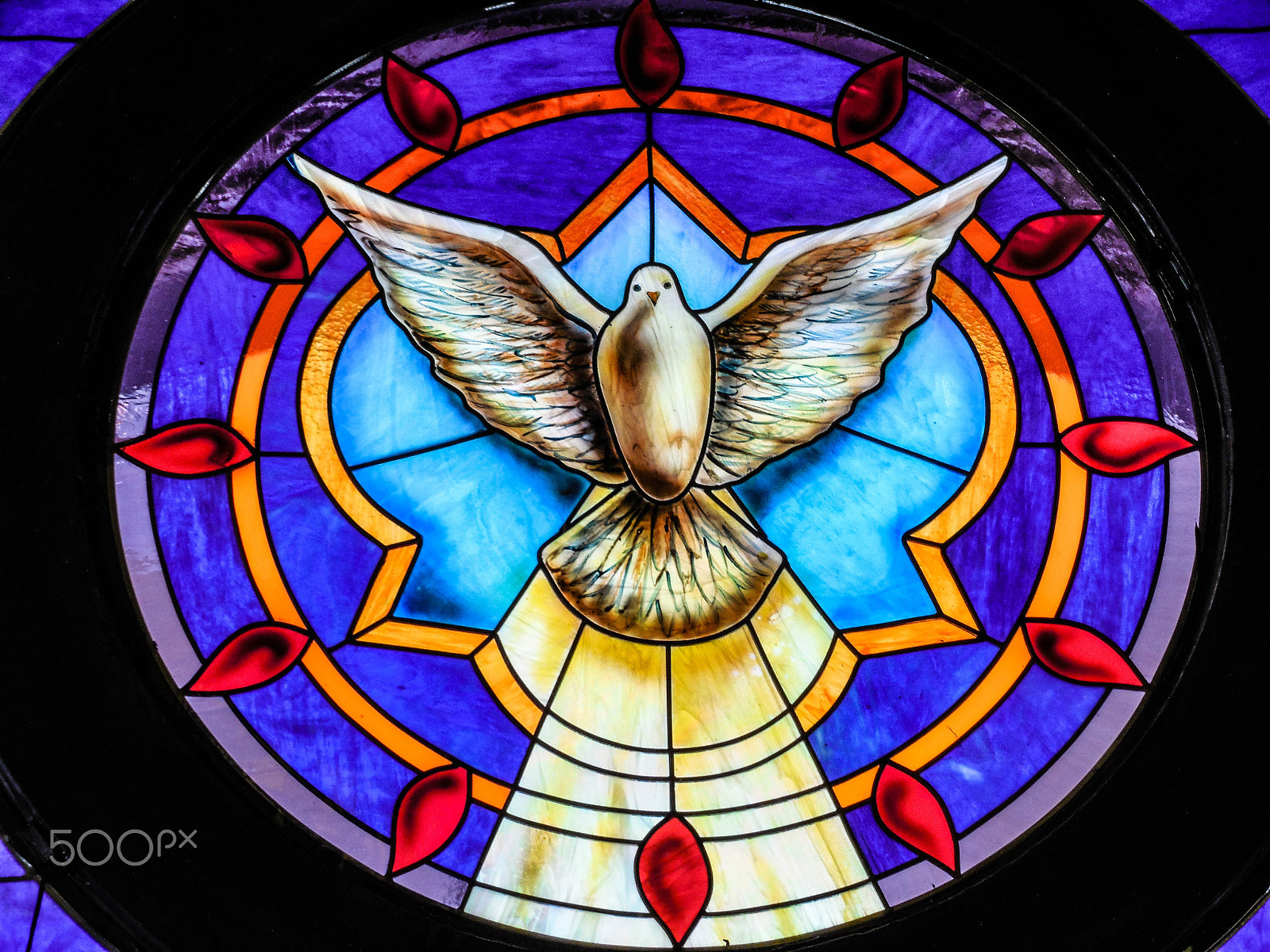 Nikon COOLPIX L620 sample photo. Dove messenger stained glass photography