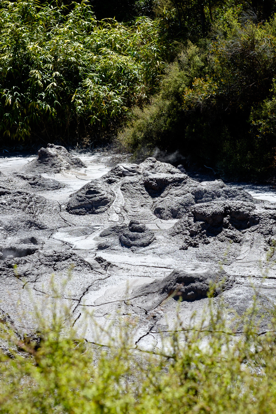 Fujifilm X-E2 + Fujifilm XF 60mm F2.4 R Macro sample photo. Purapurawhetu mud pool photography