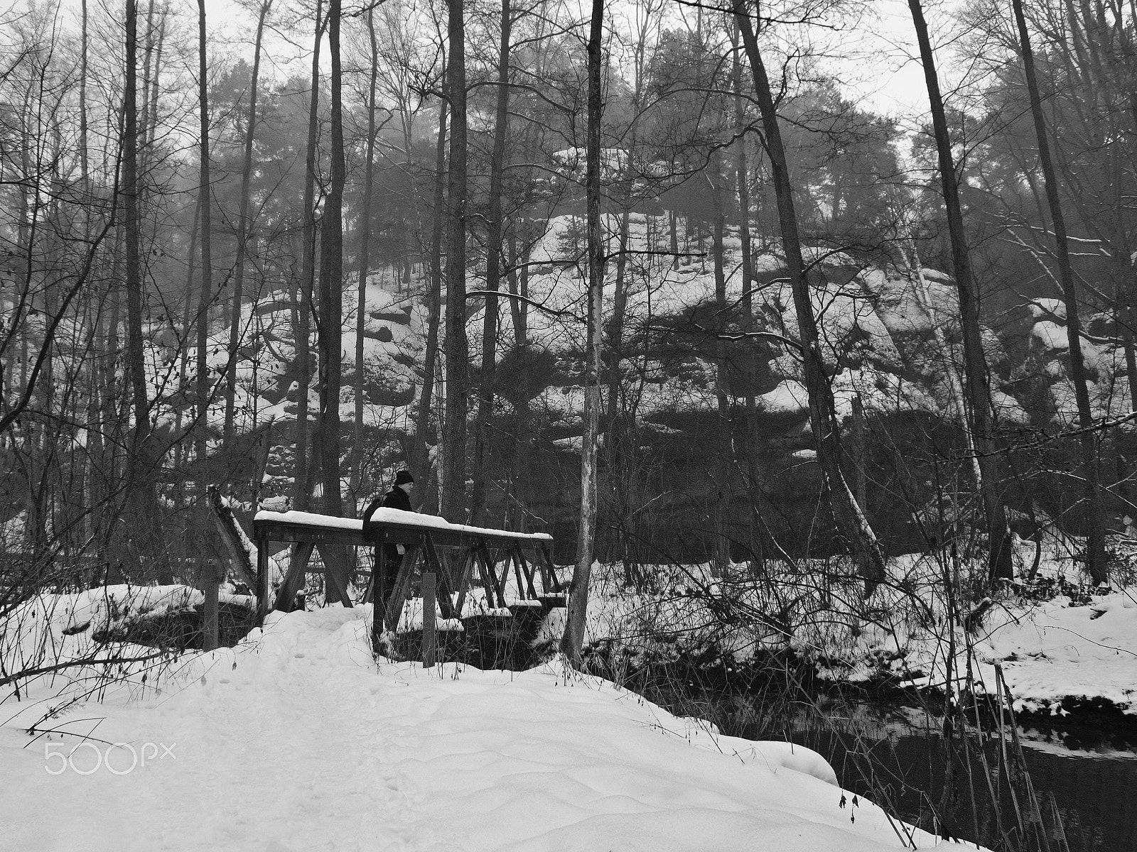 Nikon Coolpix P6000 sample photo. Valley peklo, machuv kraj, czech republic - february 04, 2017: new wooden footbridge in peklo hell photography
