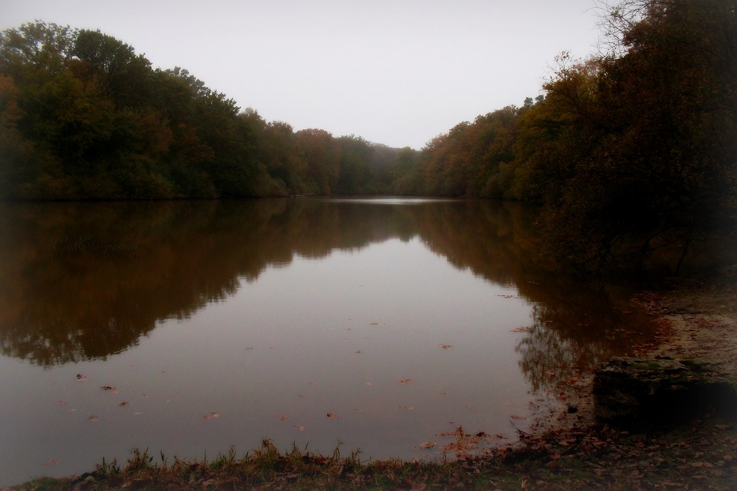 Samsung ST30 sample photo. Catharina elisabeth - rambouillet photography