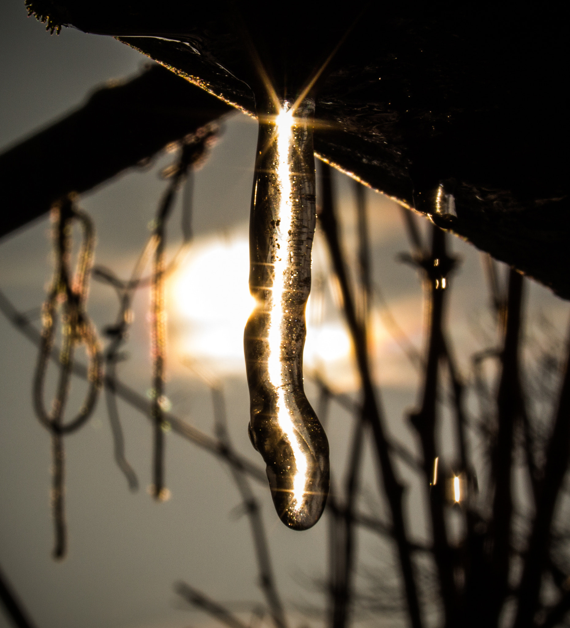 Canon EF-S 18-55mm F3.5-5.6 II sample photo. Winter sunset photography