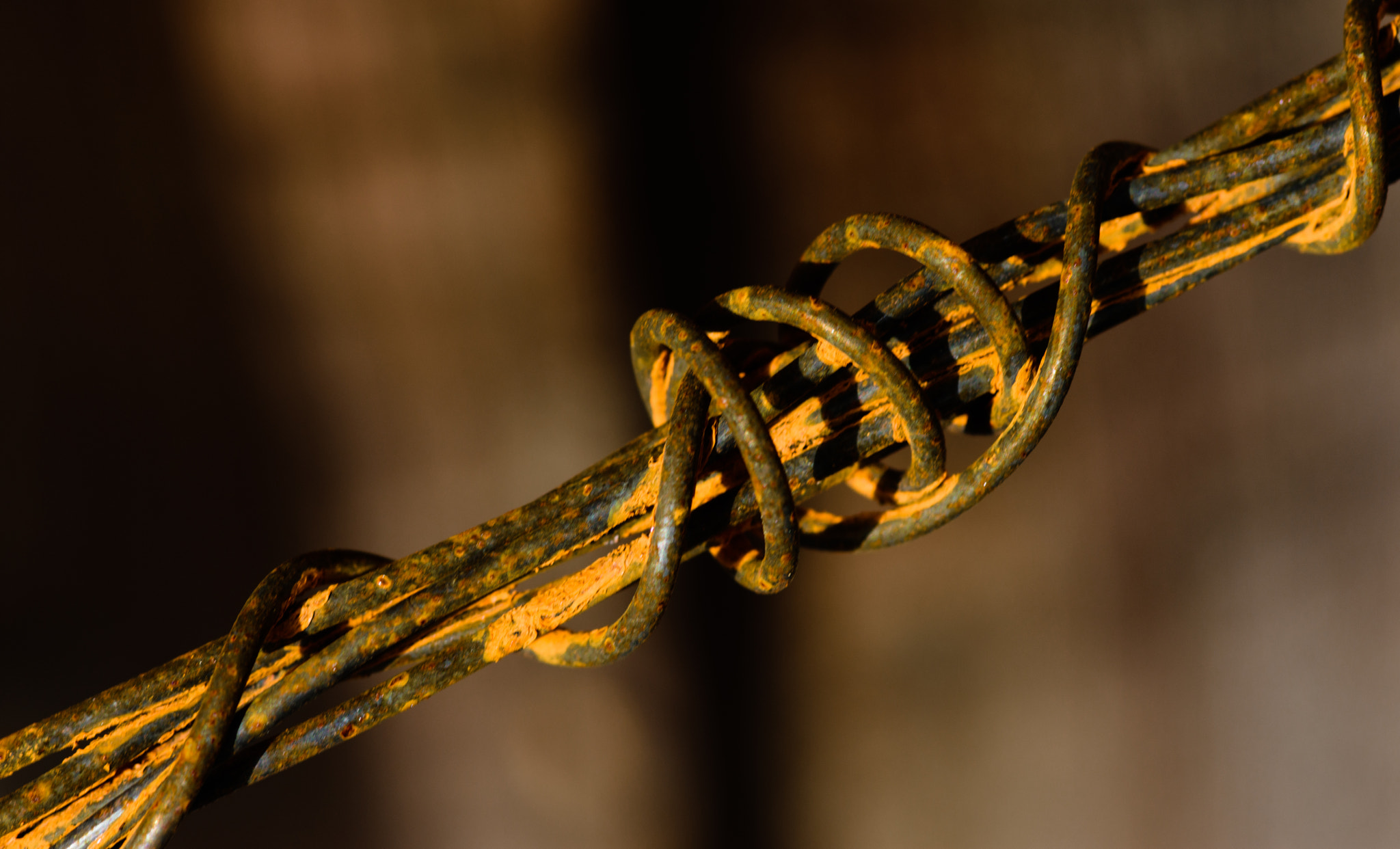 Nikon D7200 + Tokina AT-X Pro 100mm F2.8 Macro sample photo. Rust on the wire photography
