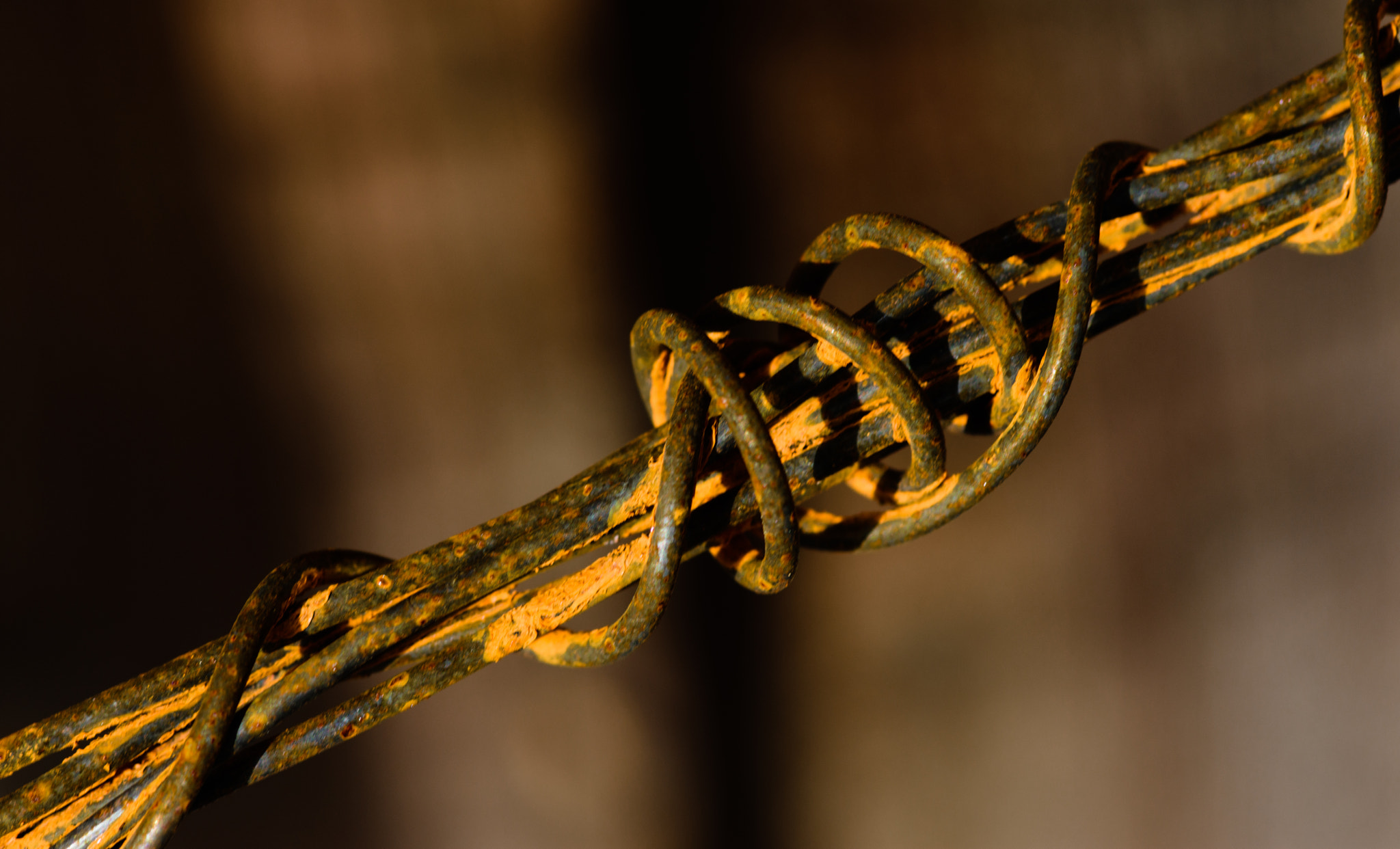 Tokina AT-X Pro 100mm F2.8 Macro sample photo. Rust on the wire photography