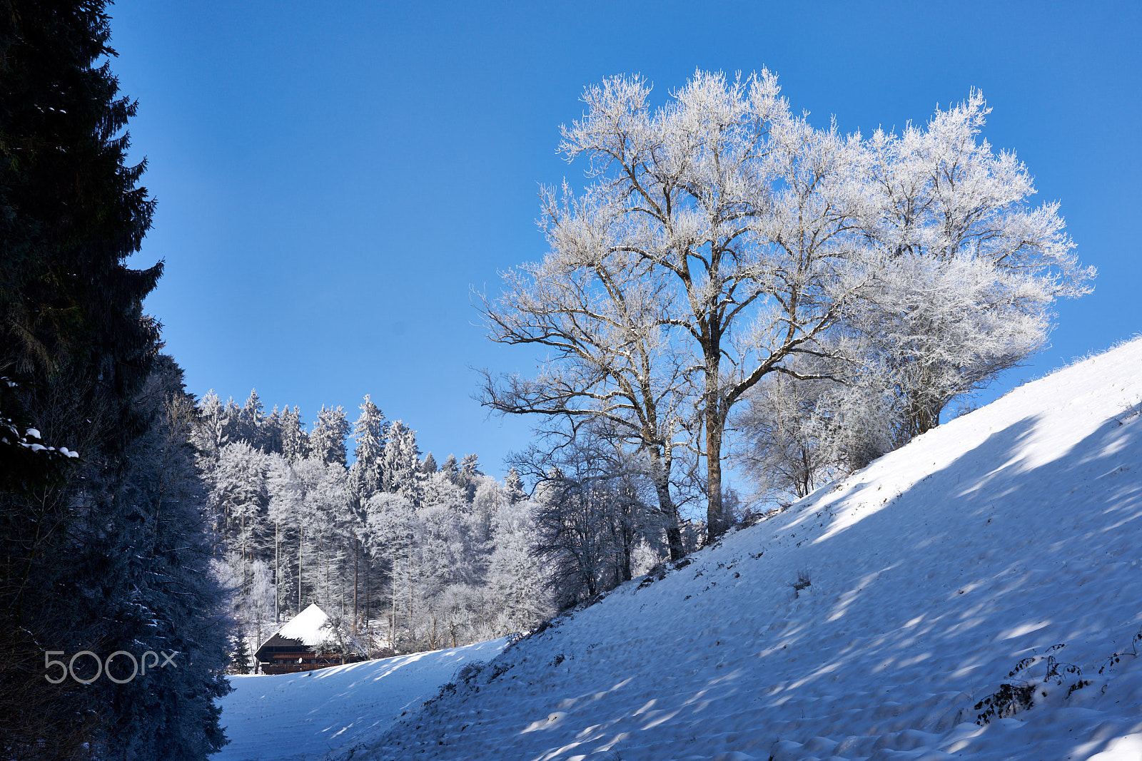 Sony Sonnar T* FE 55mm F1.8 ZA sample photo. Remote emmental farmstead photography
