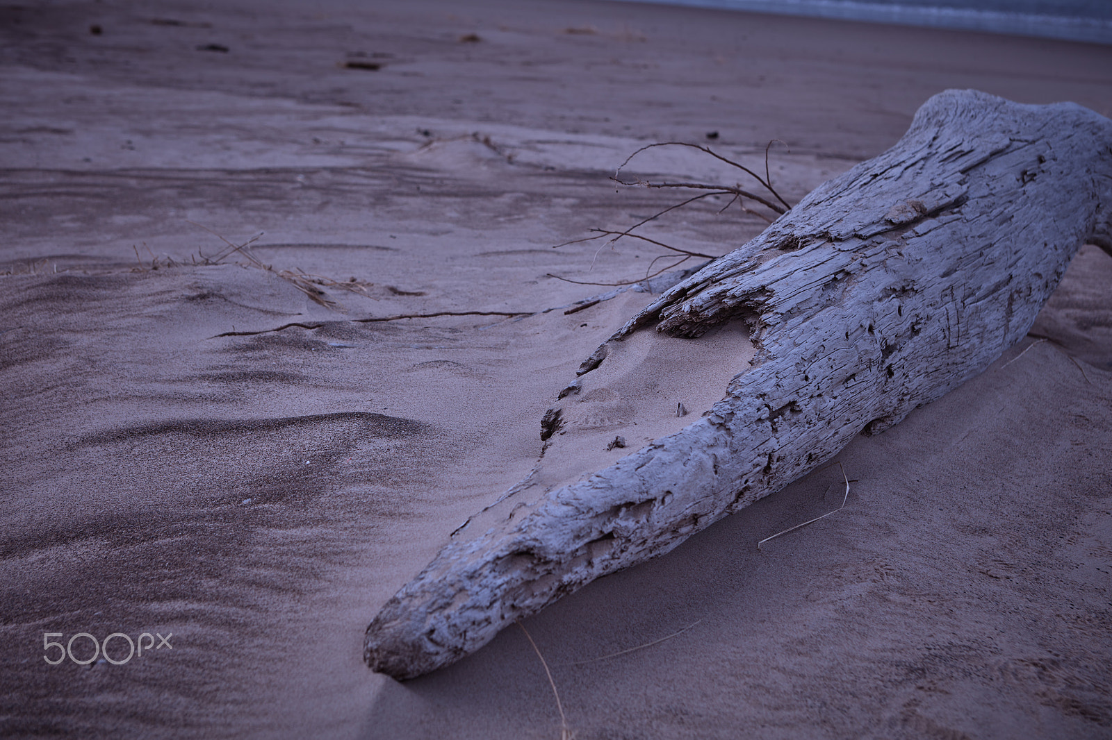 Canon EOS 5DS sample photo. Great lakes beach in winter photography
