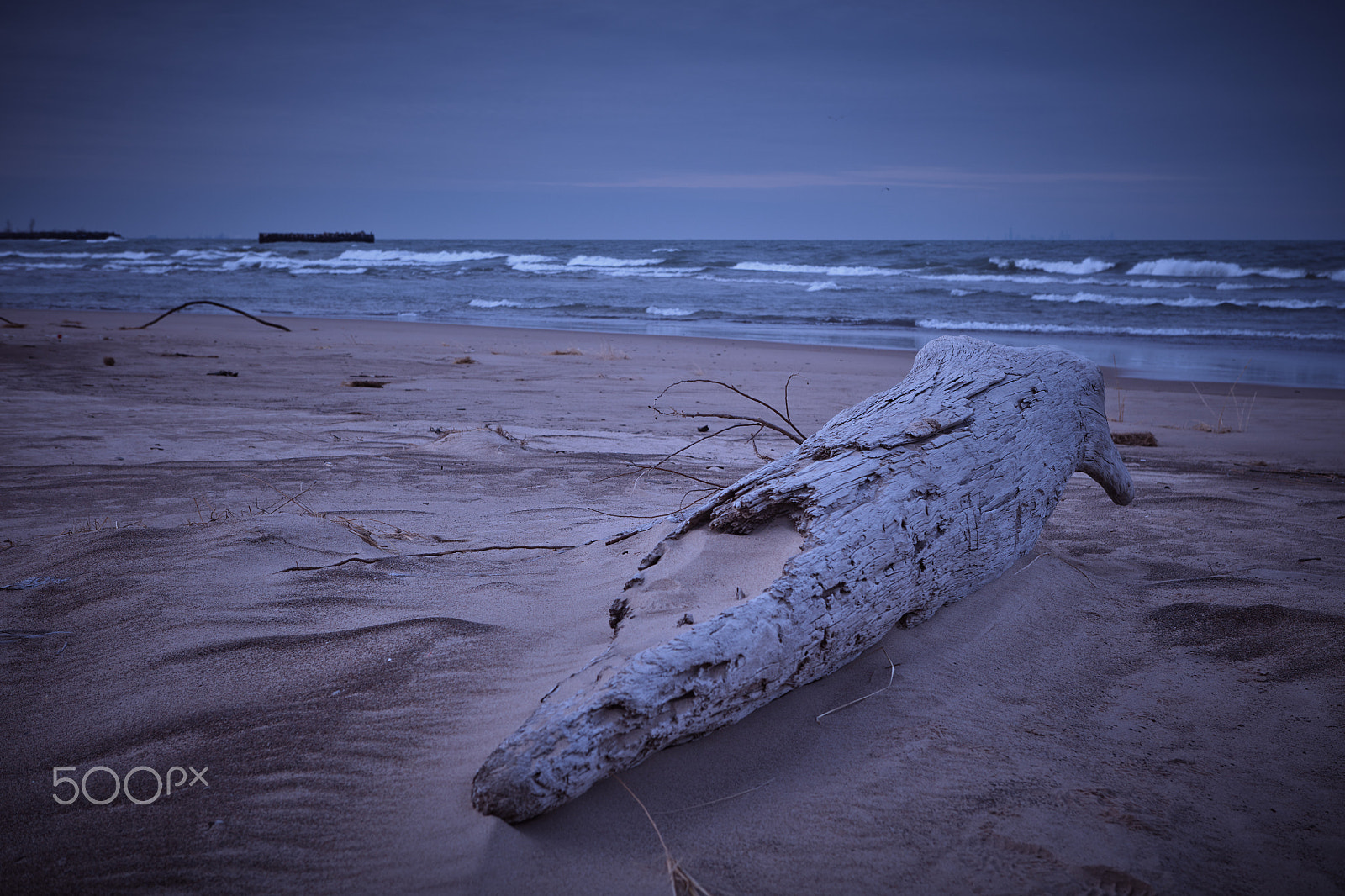 Canon EF 24-70mm F2.8L USM sample photo. Great lakes beach in winter photography