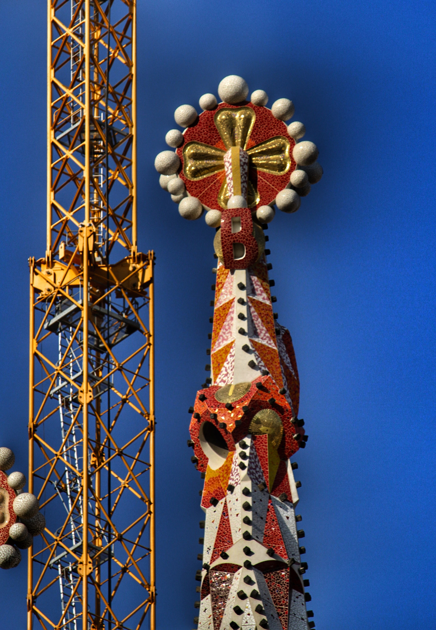 Canon EF-S 55-250mm F4-5.6 IS STM sample photo. Beauty and technology photography