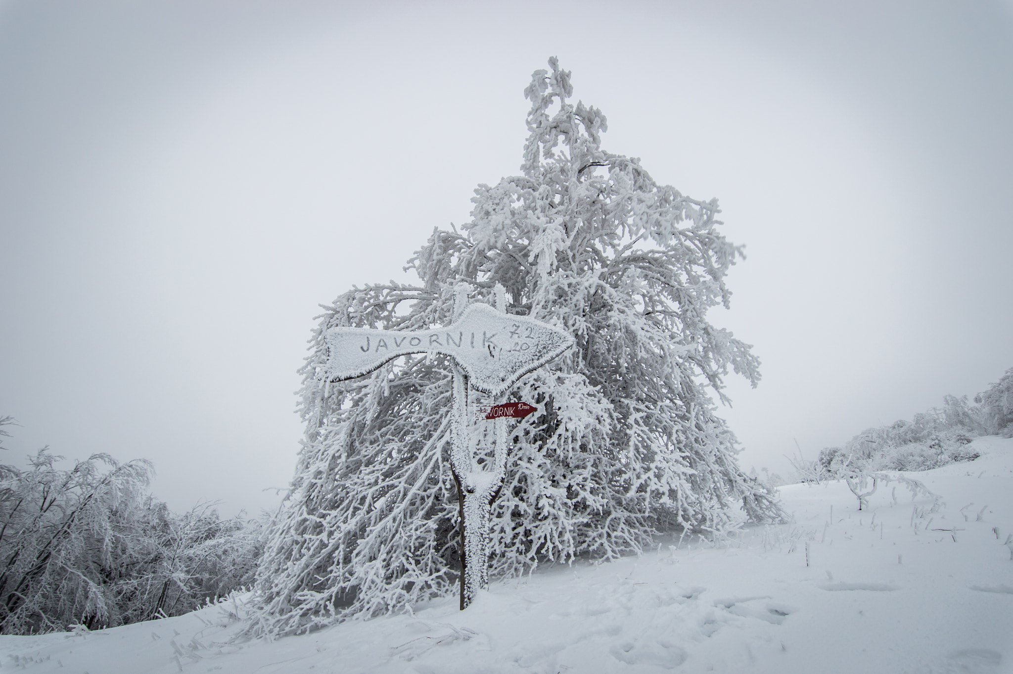 Nikon D3200 sample photo. Pathsign to frozen land photography