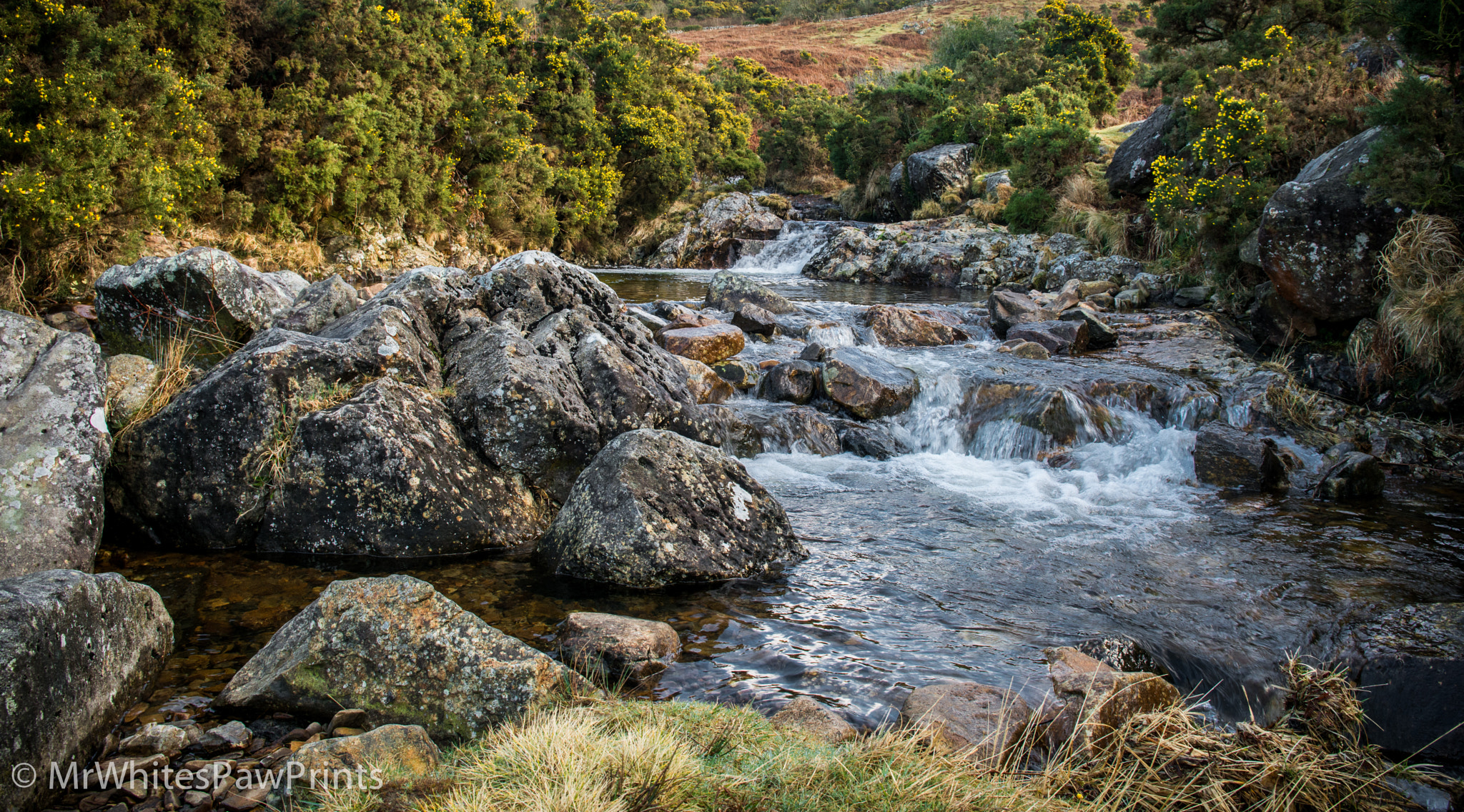 Nikon D7100 sample photo. Red-a-ven brook photography