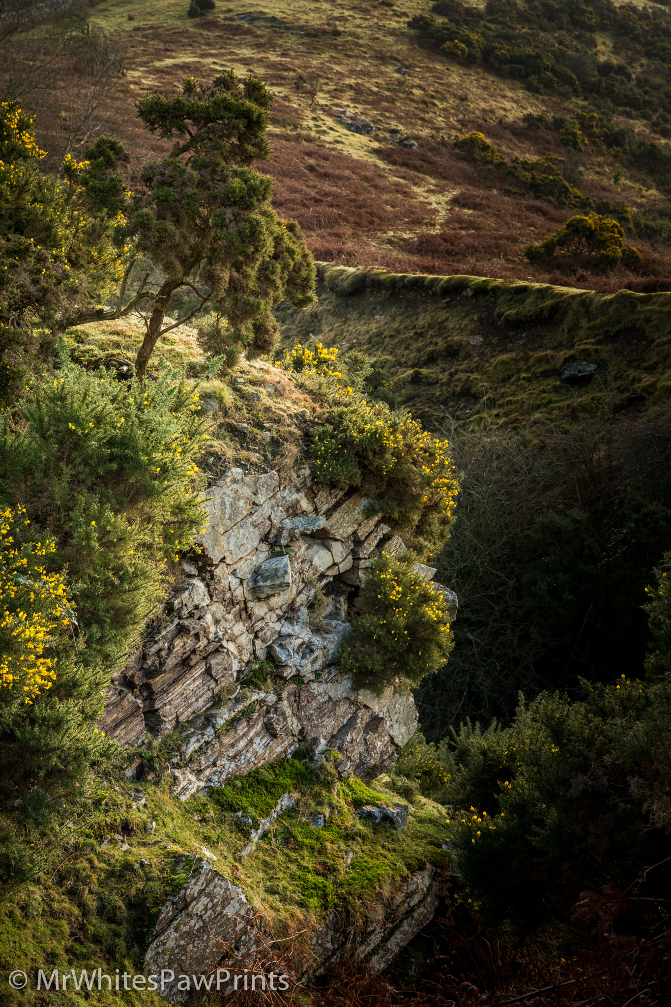 Nikon D7100 sample photo. Meldon quarry photography