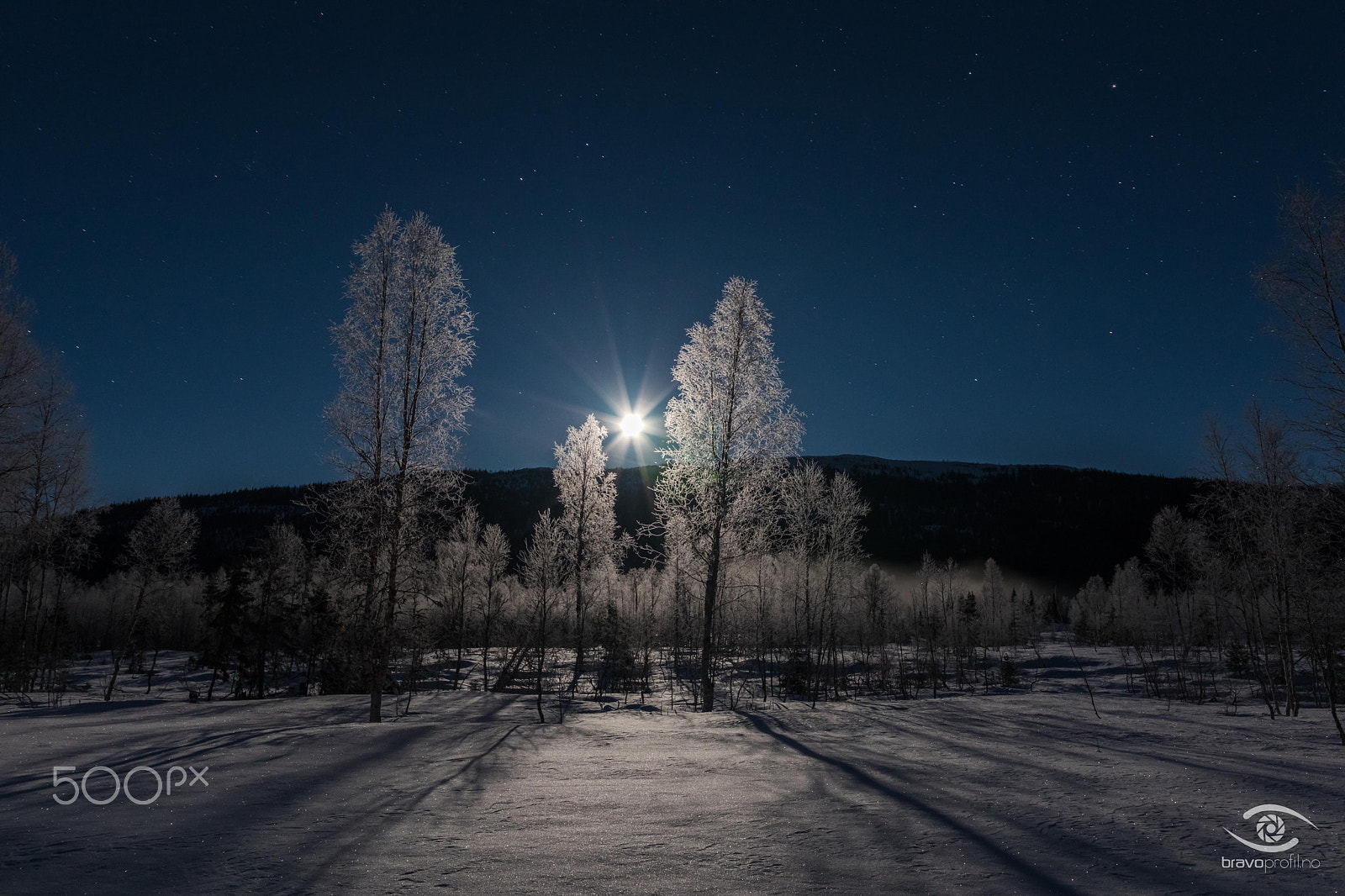 Sigma 12-24mm F4.5-5.6 II DG HSM sample photo. Frozen trees photography