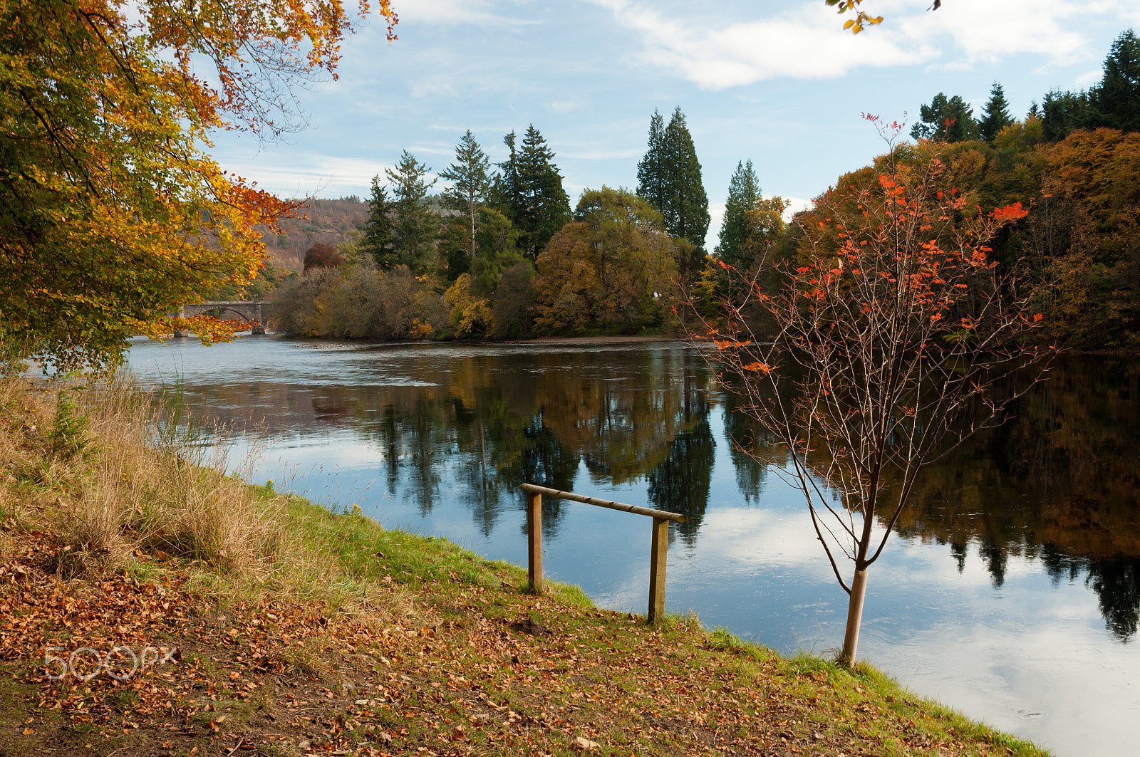Nikon D5000 sample photo. The colours of autumn photography