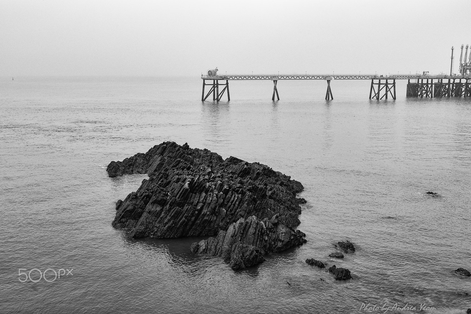 Nikon D5 sample photo. On a foggy day photography