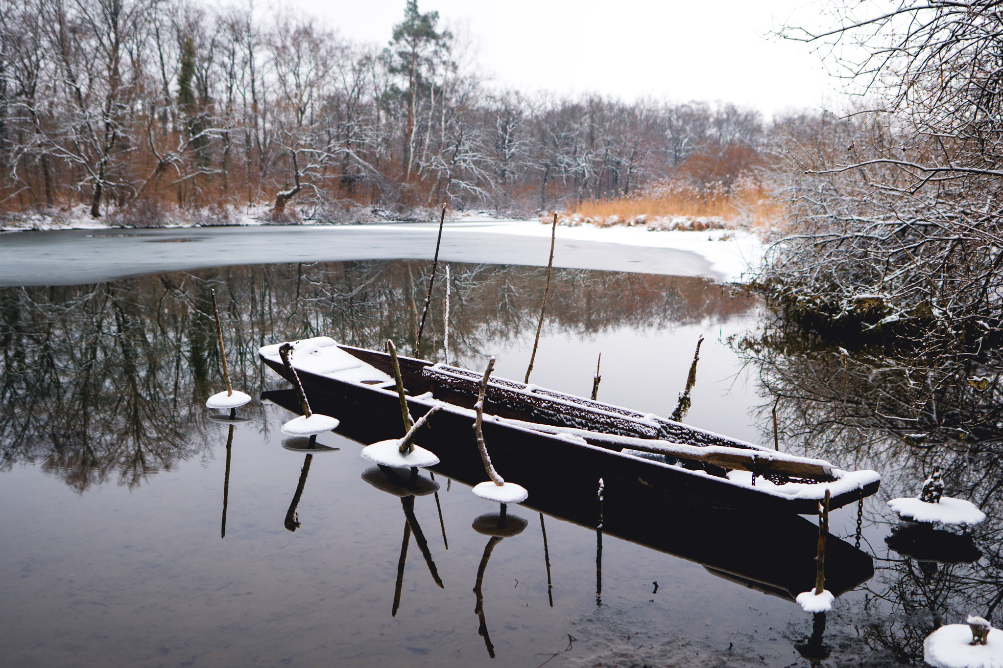 Sony a6500 + Sigma 20mm F1.4 DG HSM Art sample photo. Winter freistett photography