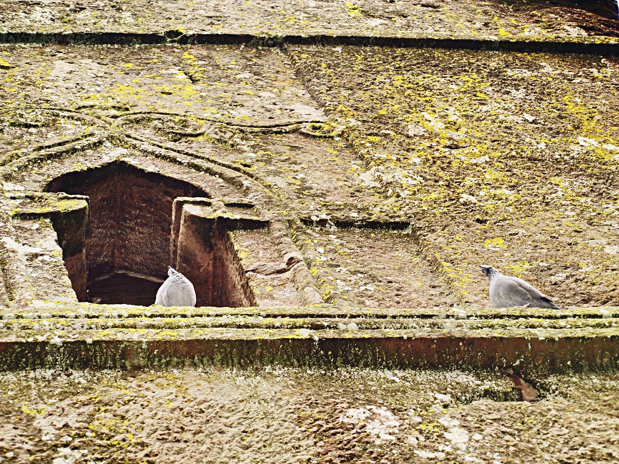 Olympus E-400 (EVOLT E-400) + Olympus Zuiko Digital ED 40-150mm F4.0-5.6 sample photo. Birds on church of lalibela. photography