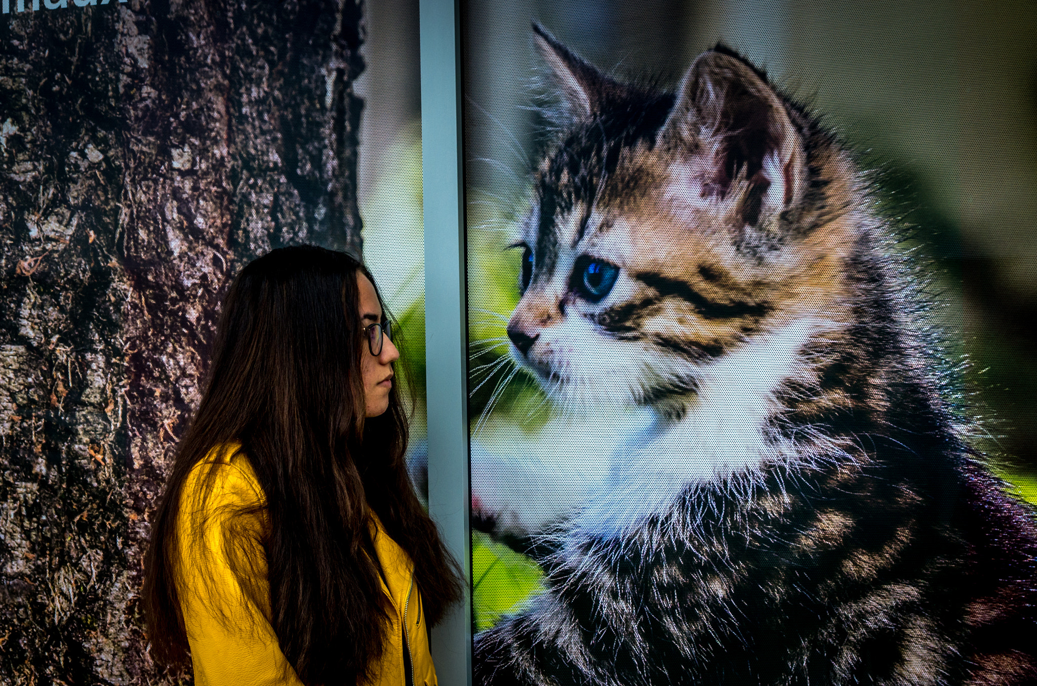 Pentax K-5 sample photo. Rencontre... photography