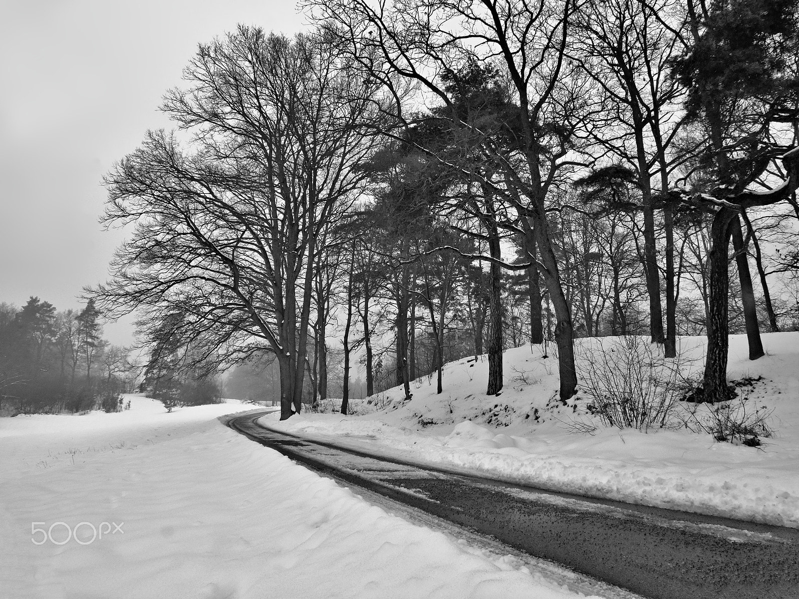 Nikon Coolpix P6000 sample photo. Trees along asphalt road leading to village karba in macha's region during snowy winter czech photography