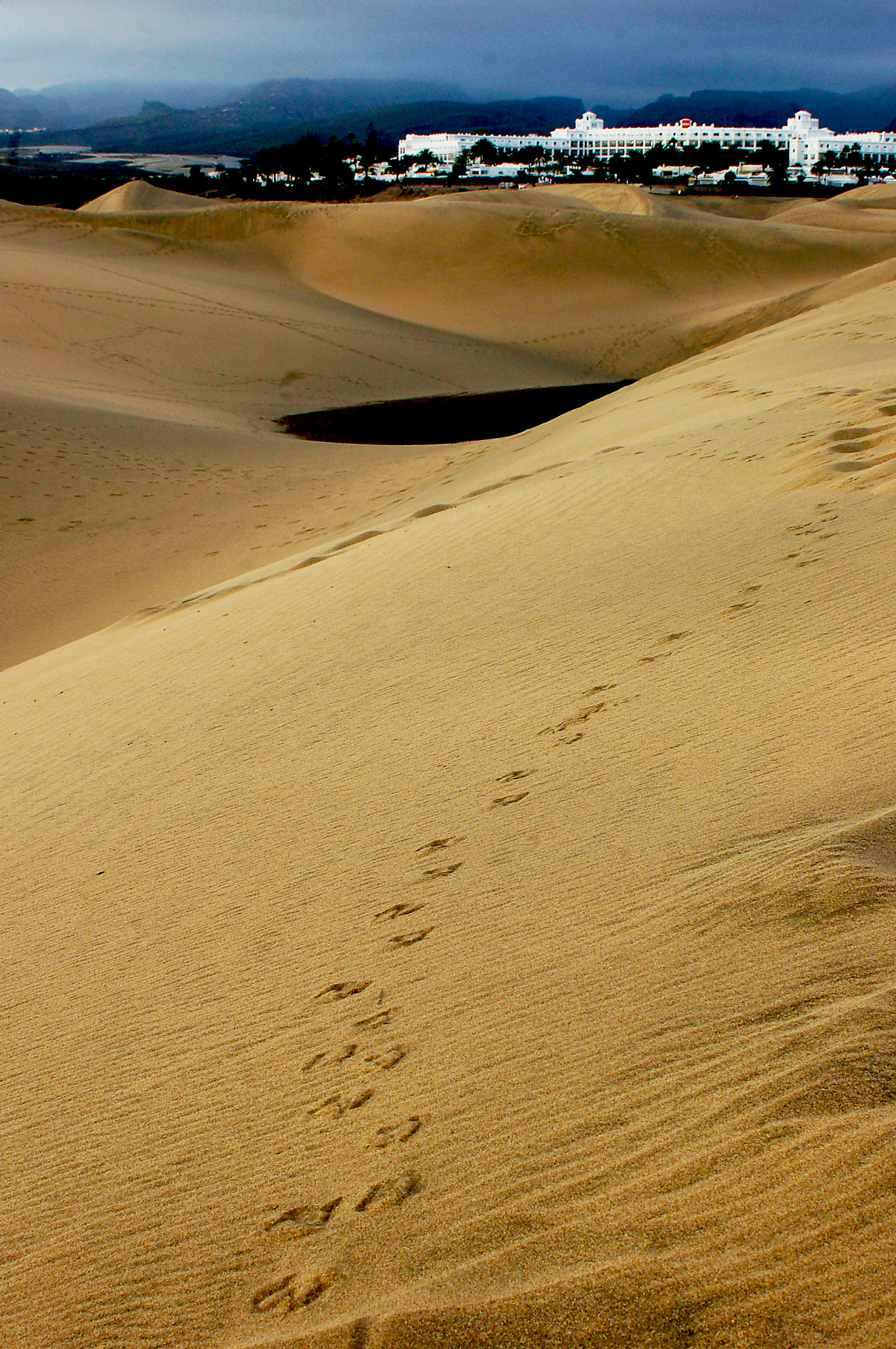 AF Zoom-Nikkor 28-85mm f/3.5-4.5 sample photo. Tracks photography