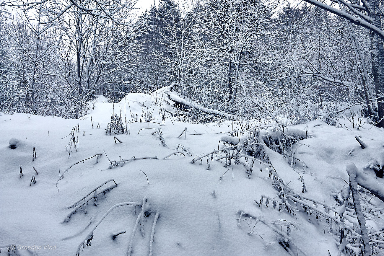 Canon EOS 1100D (EOS Rebel T3 / EOS Kiss X50) sample photo. Snowy barricades... photography