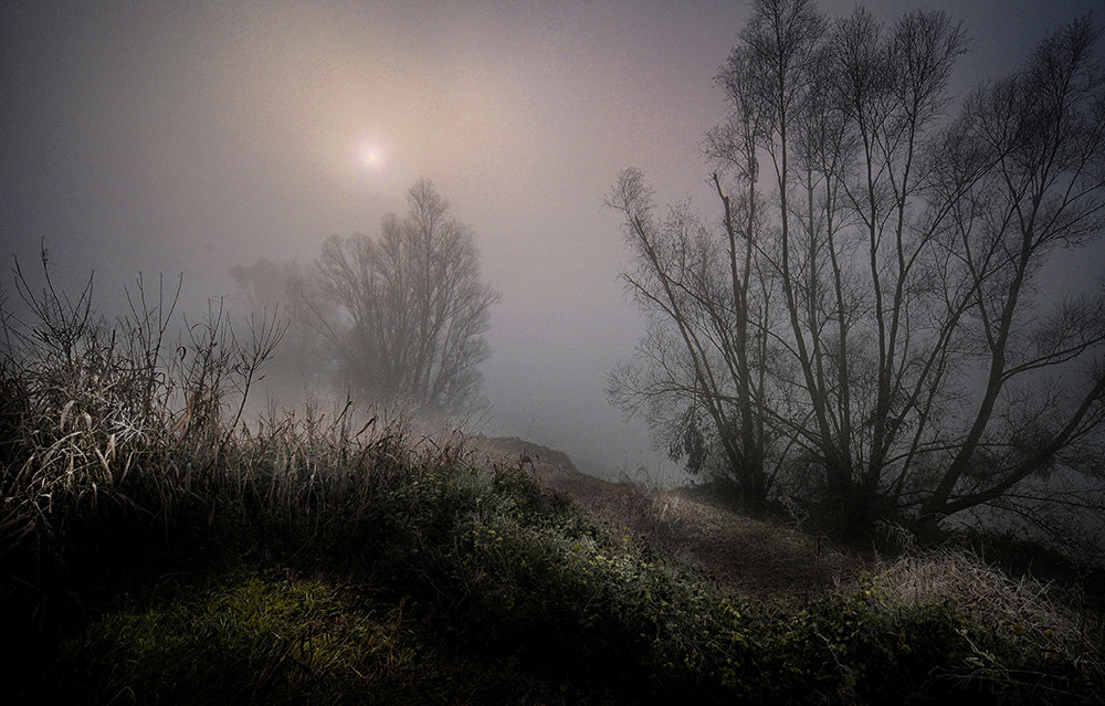 Nikon D300S sample photo. Spiraglio di sole photography