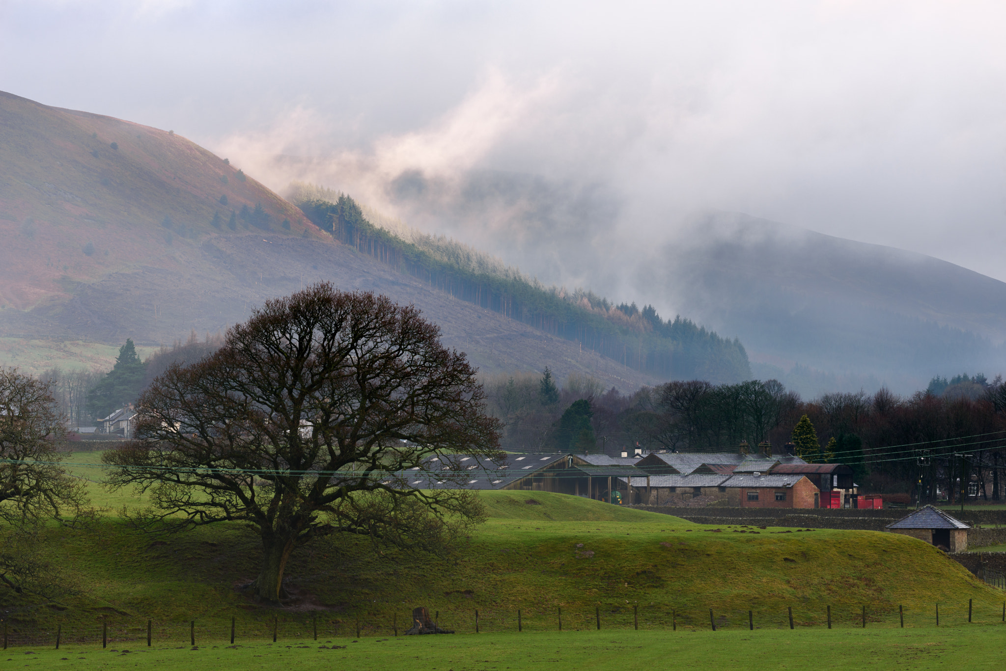 Nikon AF-S Nikkor 70-200mm F4G ED VR sample photo. Steaming hills photography