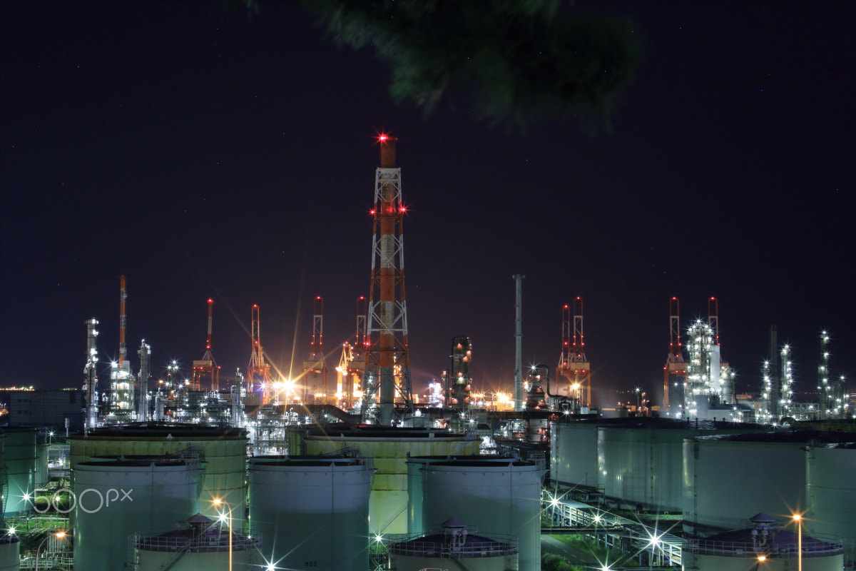 Canon EOS 7D + Sigma 28-80mm f/3.5-5.6 II Macro sample photo. Yokohama plant night view 3 photography