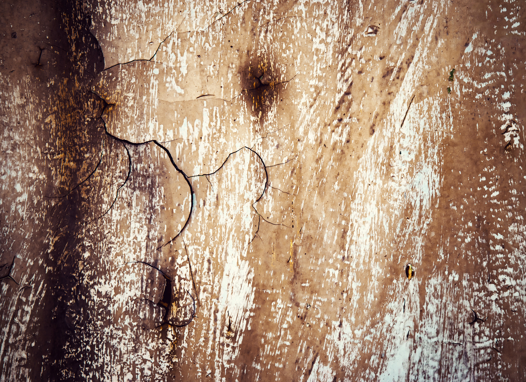 Nikon D5500 sample photo. Old weathered colored paint on metal photography