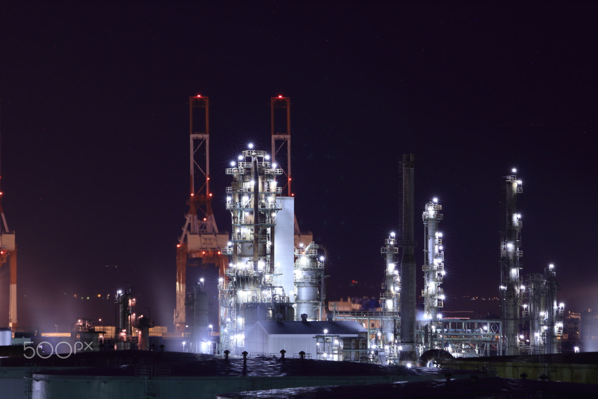 Canon EOS 7D sample photo. Yokohama plant night view 4 photography