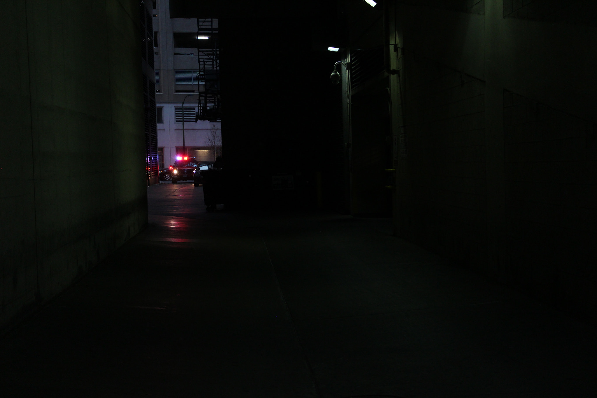 Canon EOS 650D (EOS Rebel T4i / EOS Kiss X6i) + Canon EF 50mm f/1.8 sample photo. The law photography