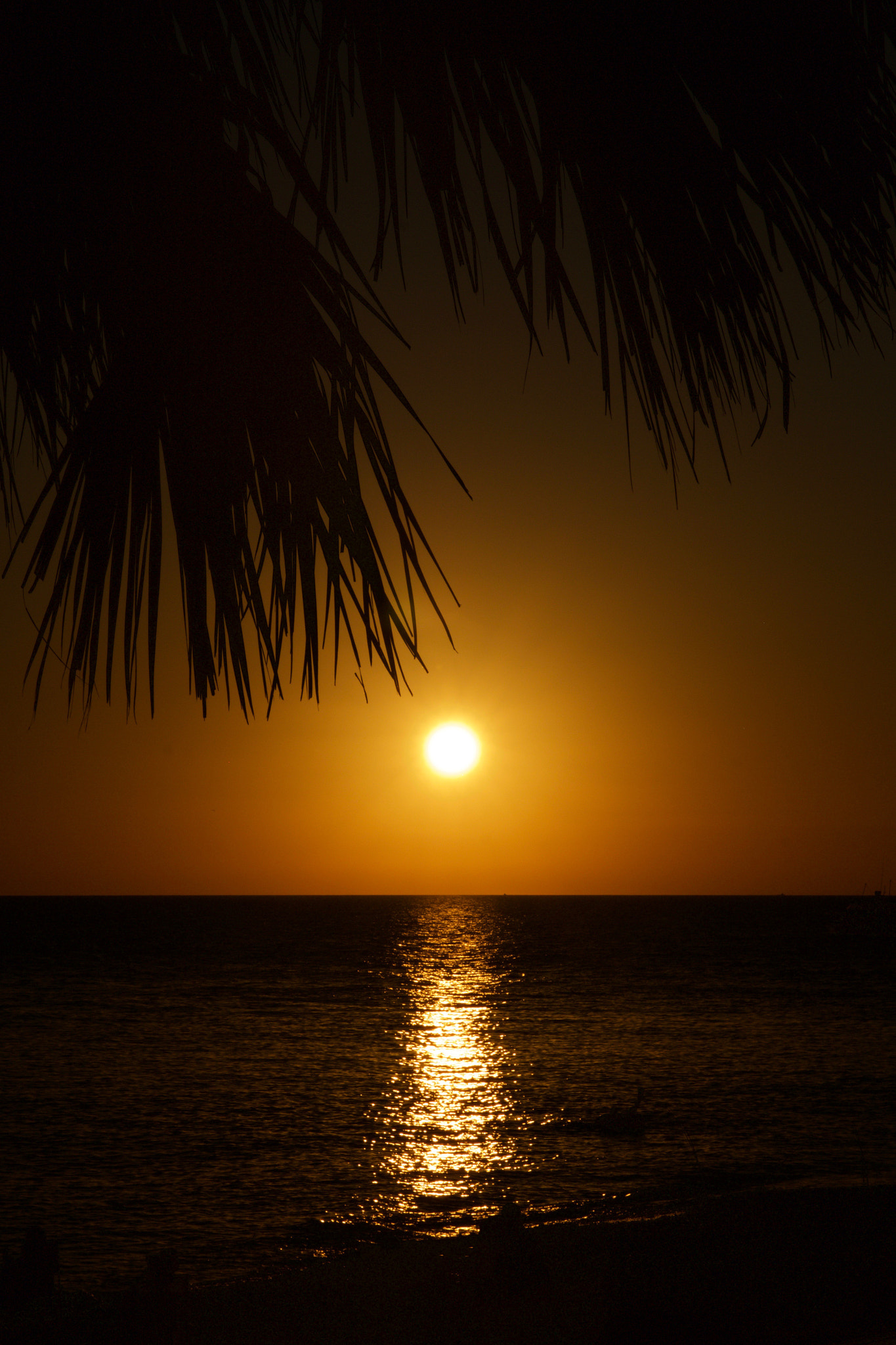 Canon EF 24-70mm F2.8L II USM sample photo. Florida keys photography