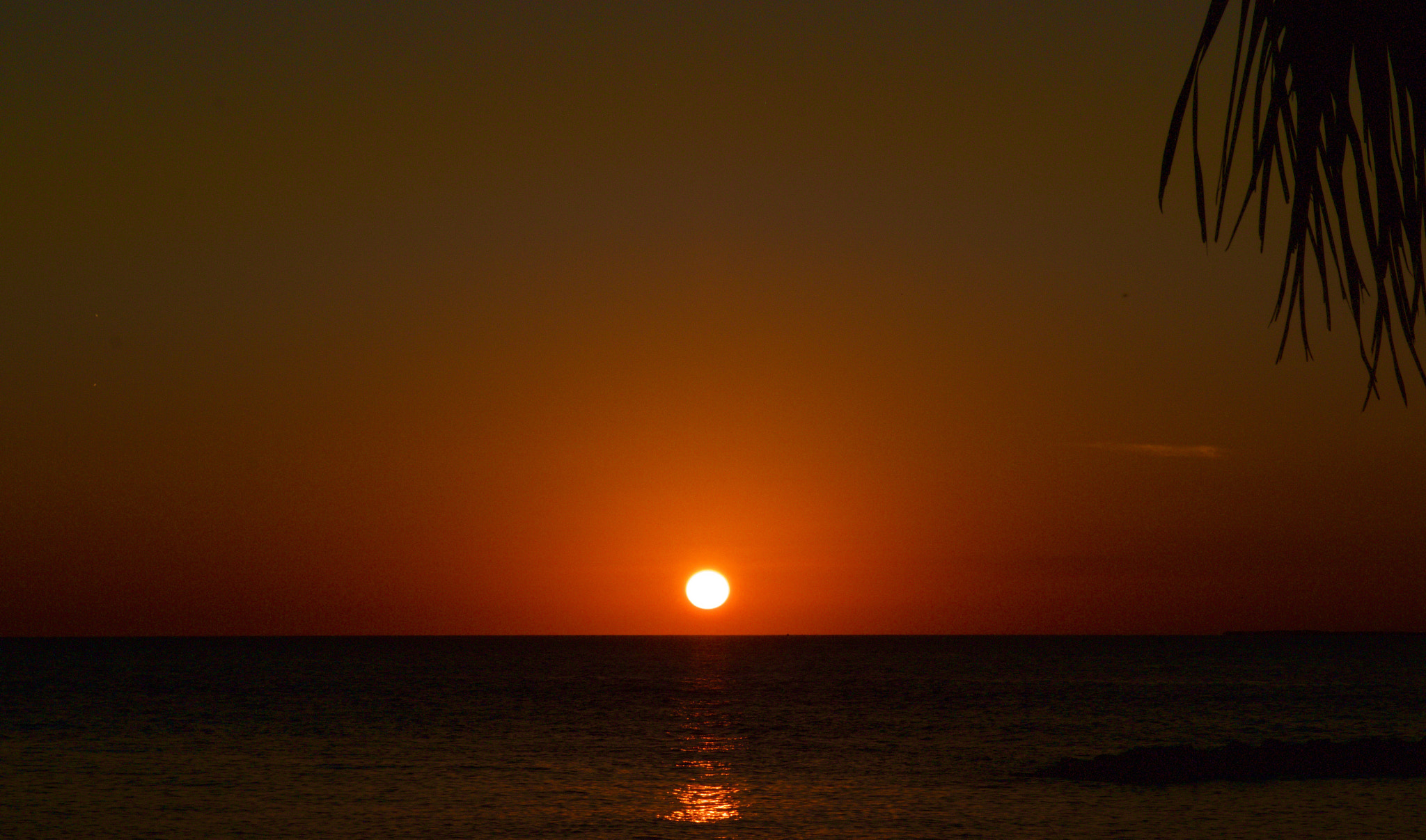 Canon EF 24-70mm F2.8L II USM sample photo