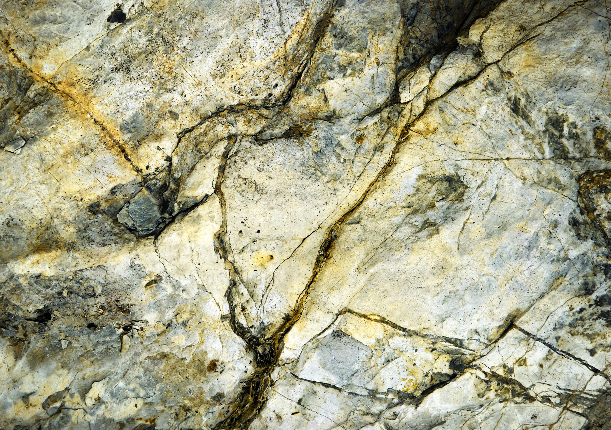 Nikon D5500 sample photo. Detail of an old cracked limestone rock photography