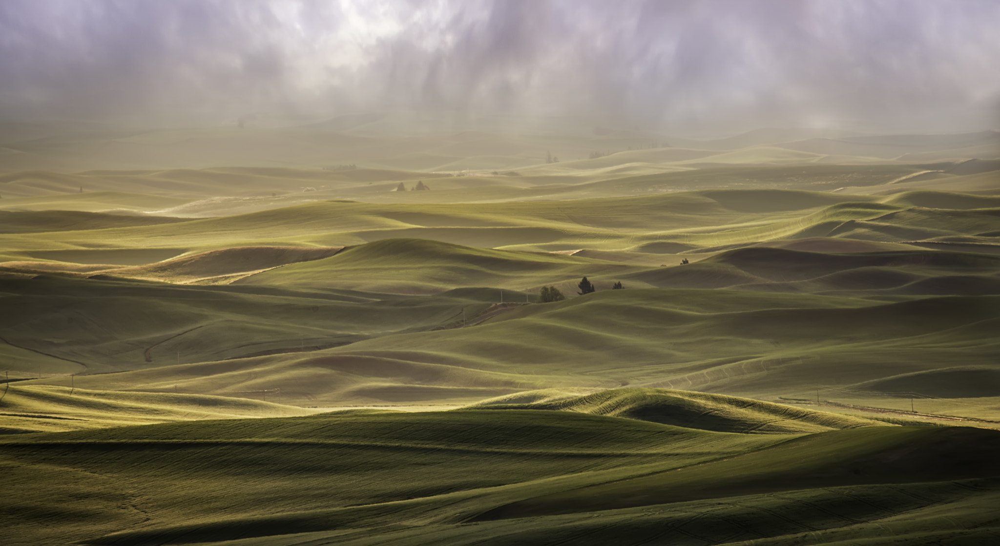 Nikon D810 sample photo. Dreams of palouse. . . photography