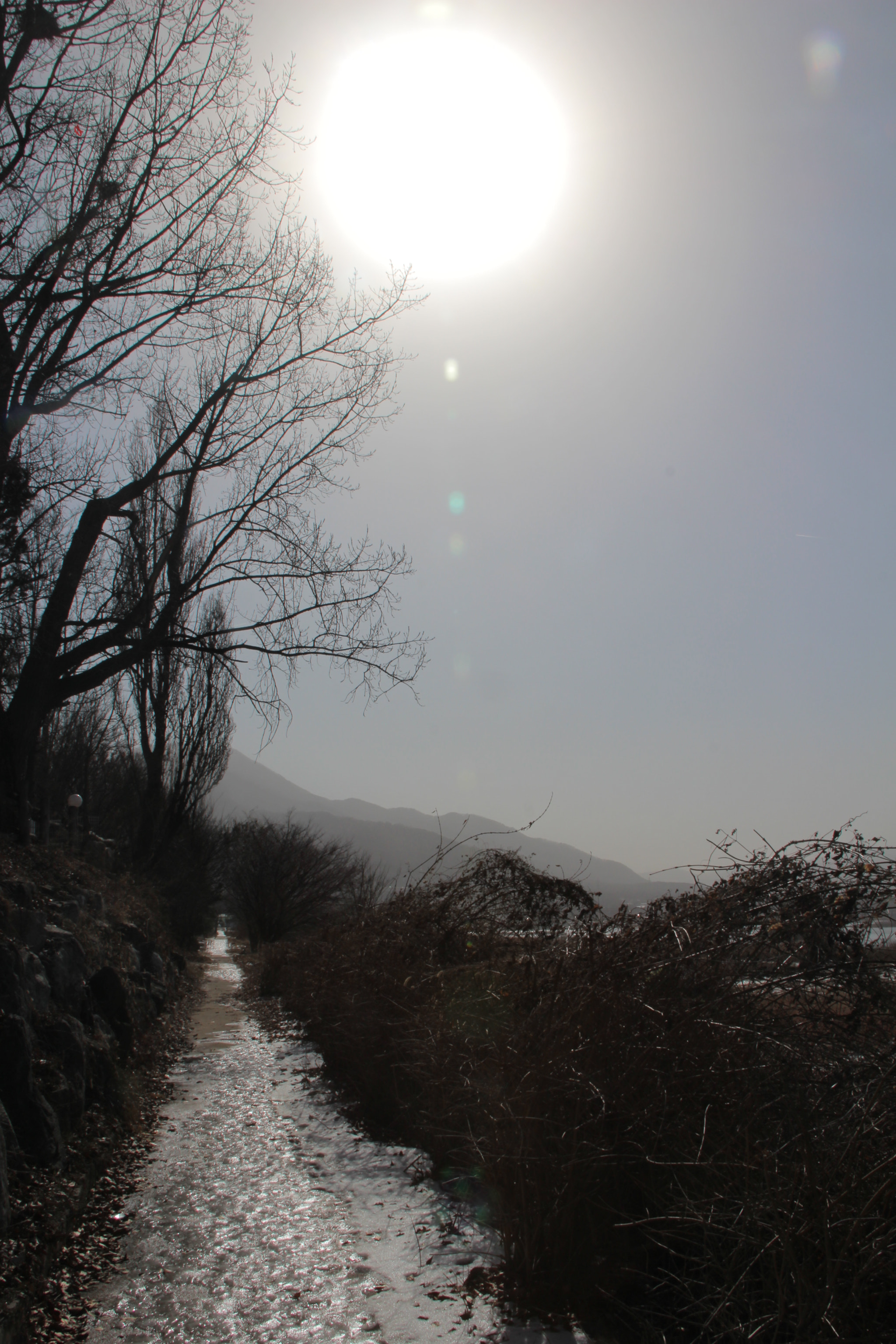 Canon EF-S 18-200mm F3.5-5.6 IS sample photo. 봄을 기다리며`````` photography