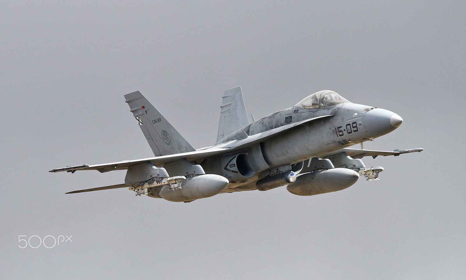 Sigma 150-600mm F5-6.3 DG OS HSM | C sample photo. Attack maneuvers photography