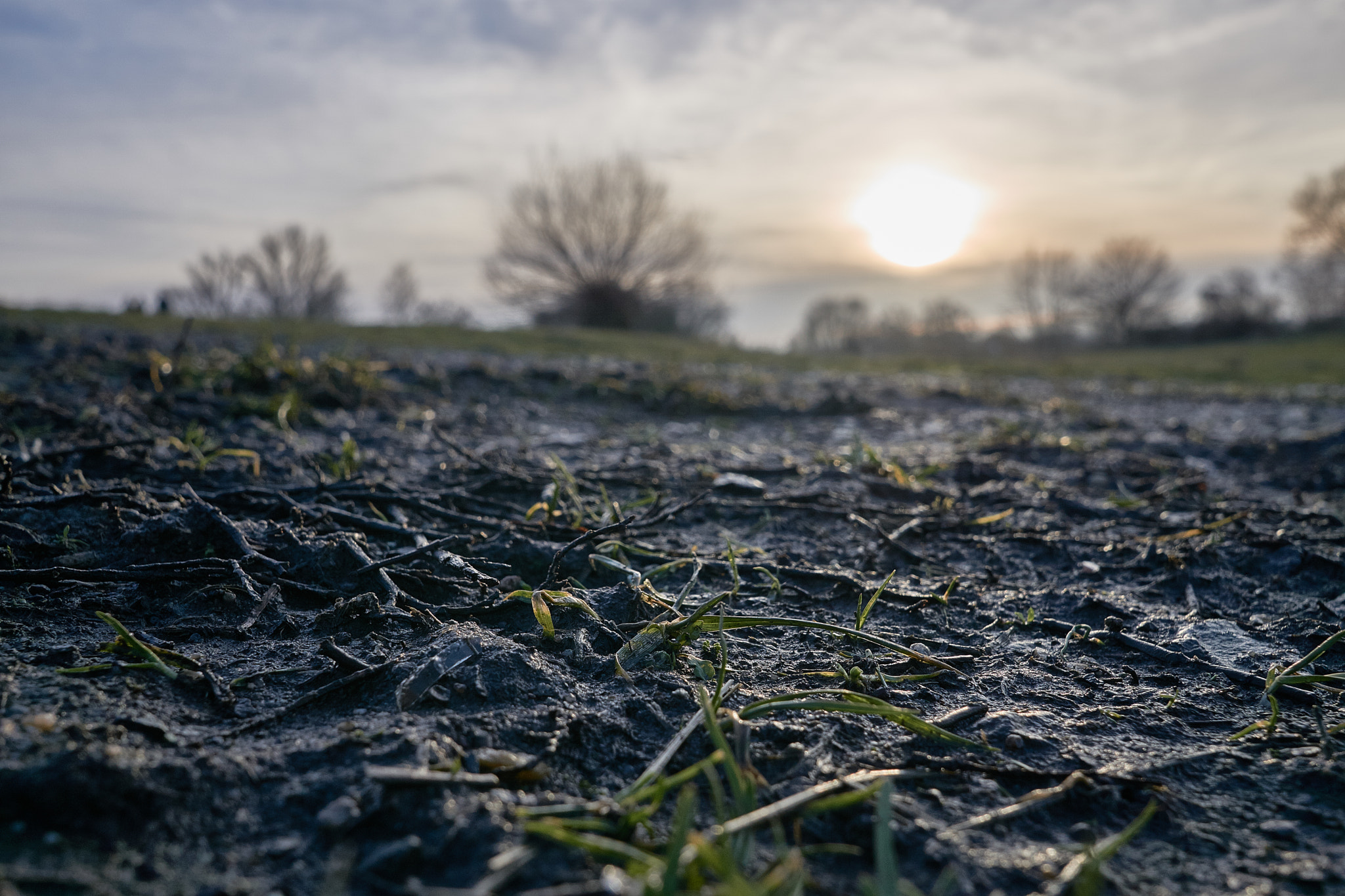 Sigma 19mm F2.8 EX DN sample photo. Mud photography