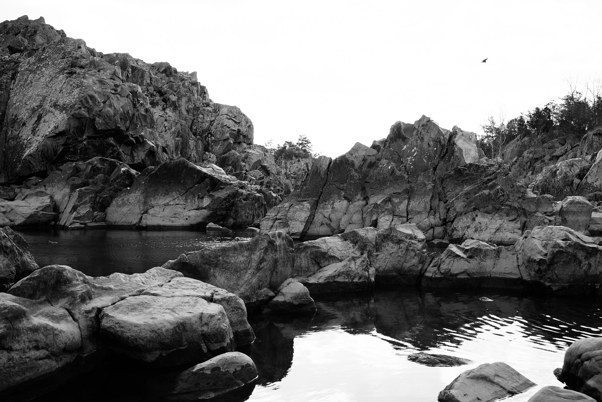 E 35mm F2 sample photo. Dsc photography