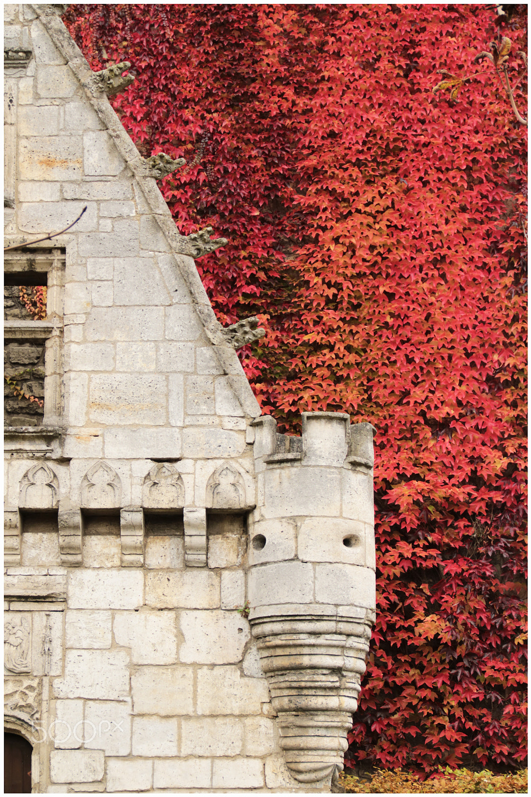 Canon EOS 760D (EOS Rebel T6s / EOS 8000D) sample photo. Façade médiévale - medieval facade photography