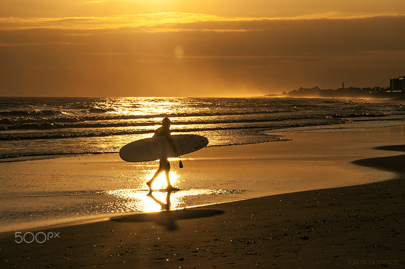 Nikon D300S sample photo. Surfer in gold photography
