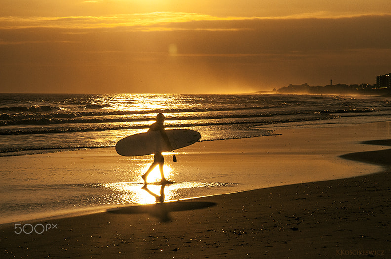 Nikon D300S + AF Zoom-Nikkor 24-120mm f/3.5-5.6D IF sample photo. Surfer in gold photography